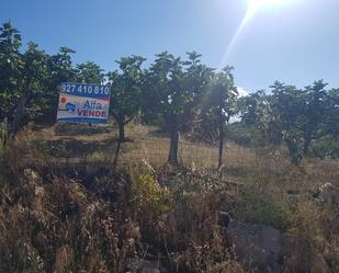 Casa o xalet en venda en Torremenga amb Calefacció i Traster