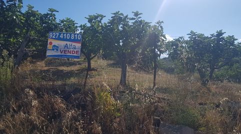 Casa adosada en venta en LA DEHESA  Torremenga Cáceres