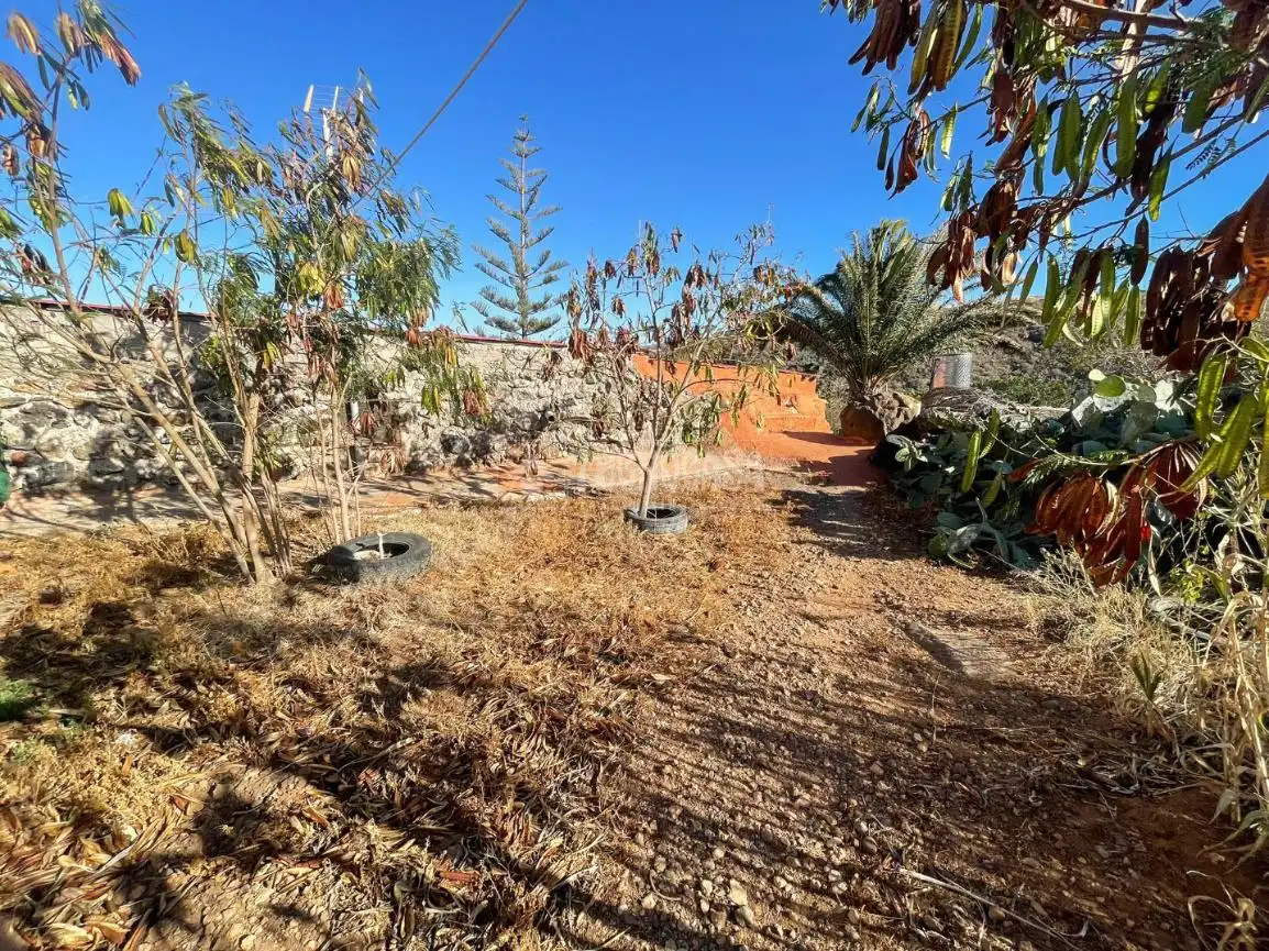 Finca rústica en venta en Ingenio