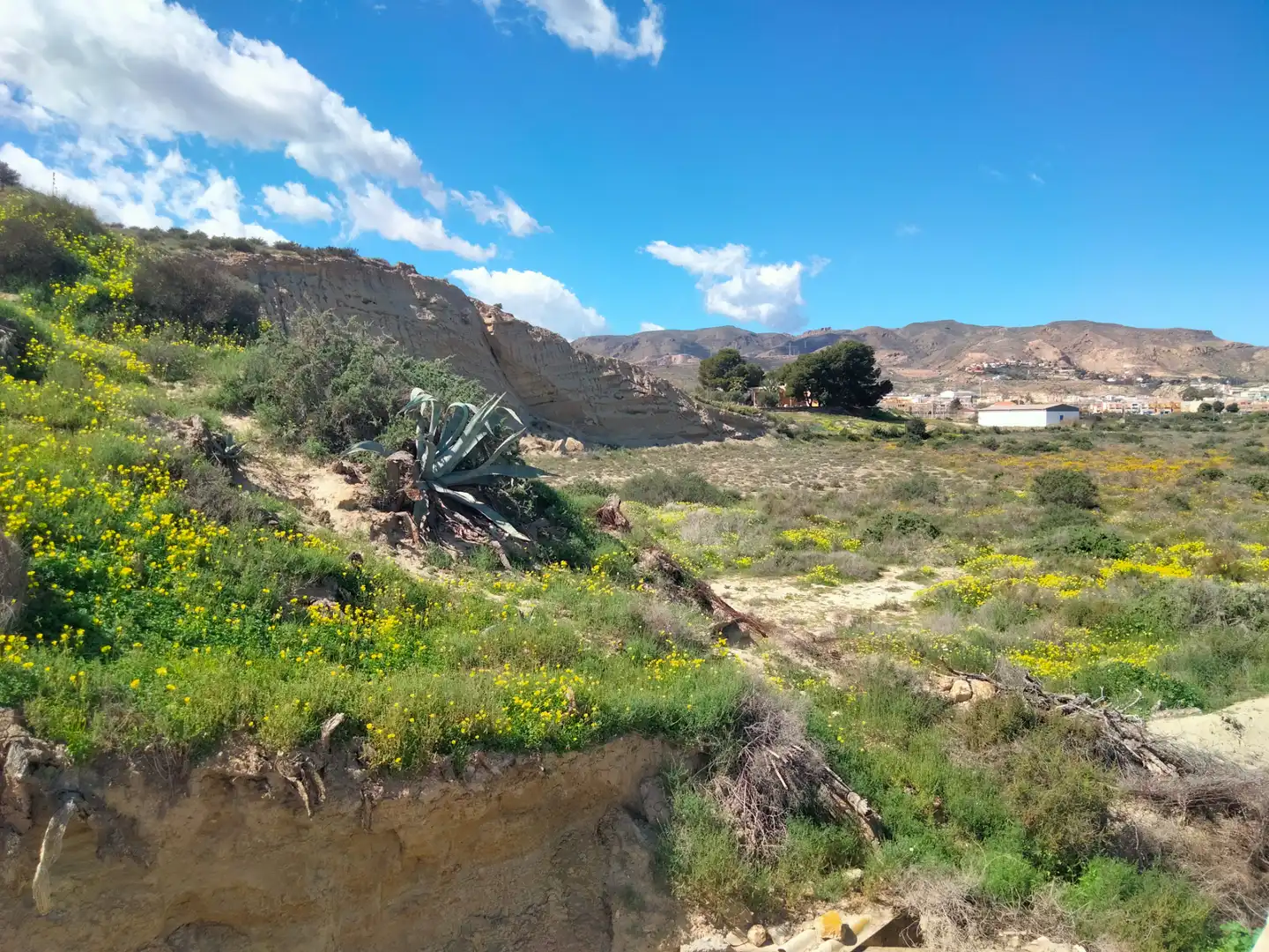 Terreny residencial en venda a Huércal de Almería, imagen 4
