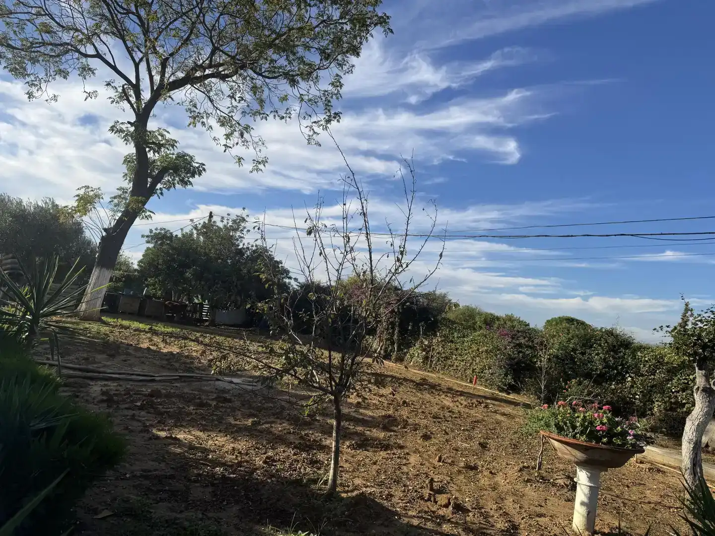 Casa o xalet en venda en Carmona amb Aire condicionat, Jardí privat i Traster