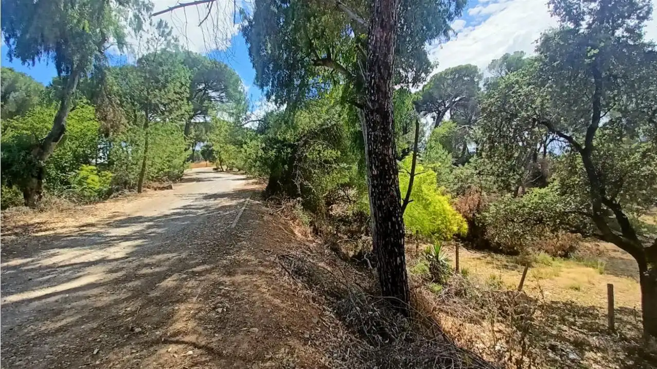 Lands and plots for sale in Campamento, imagen 8