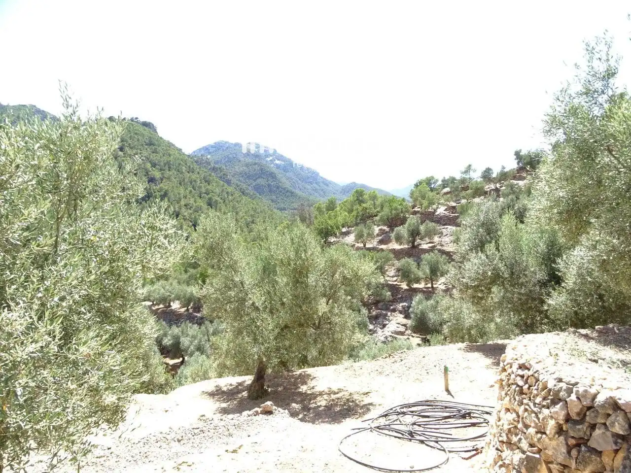 Villa à vendre à Paüls, imagen 12