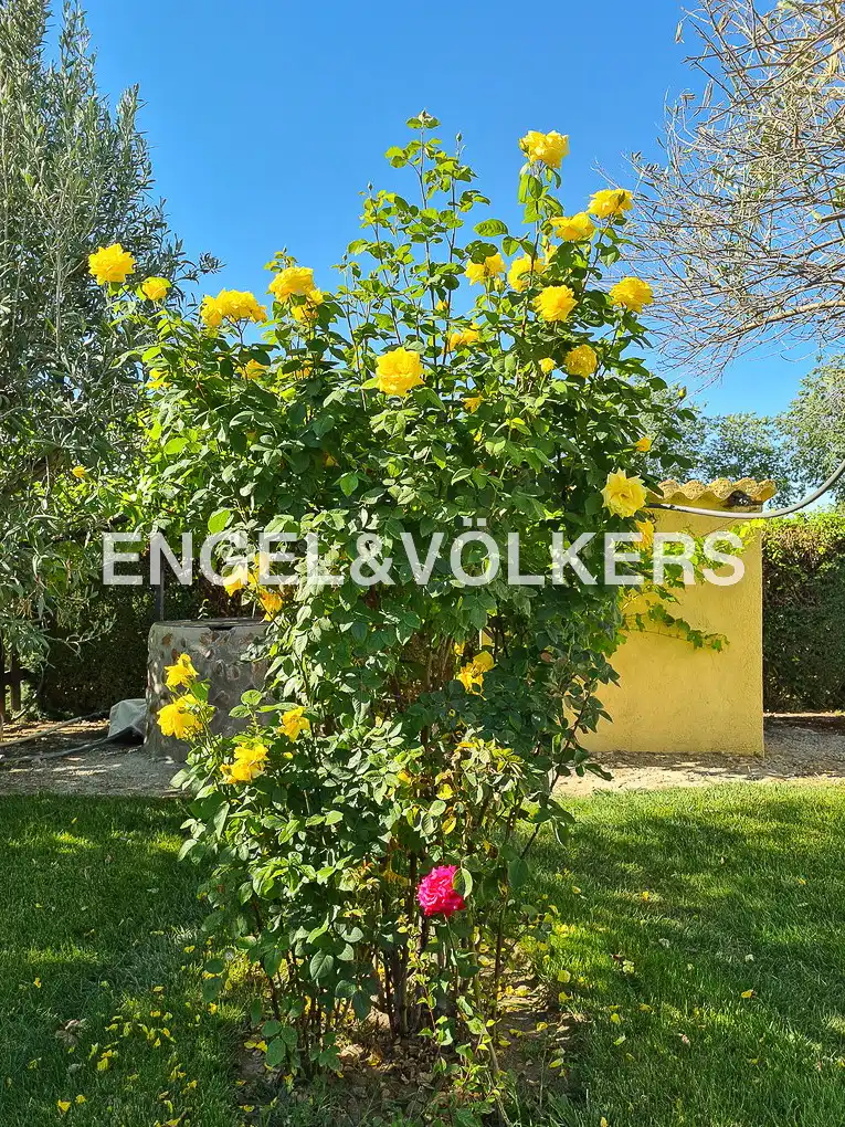 Casa o xalet en venda en Fuente El Saz de Jarama amb Calefacció, Jardí privat i Terrassa