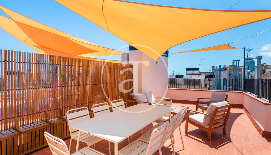 Foto 1 de Pis de lloguer a Carrer de Milans, 5, Barri Gòtic, Barcelona