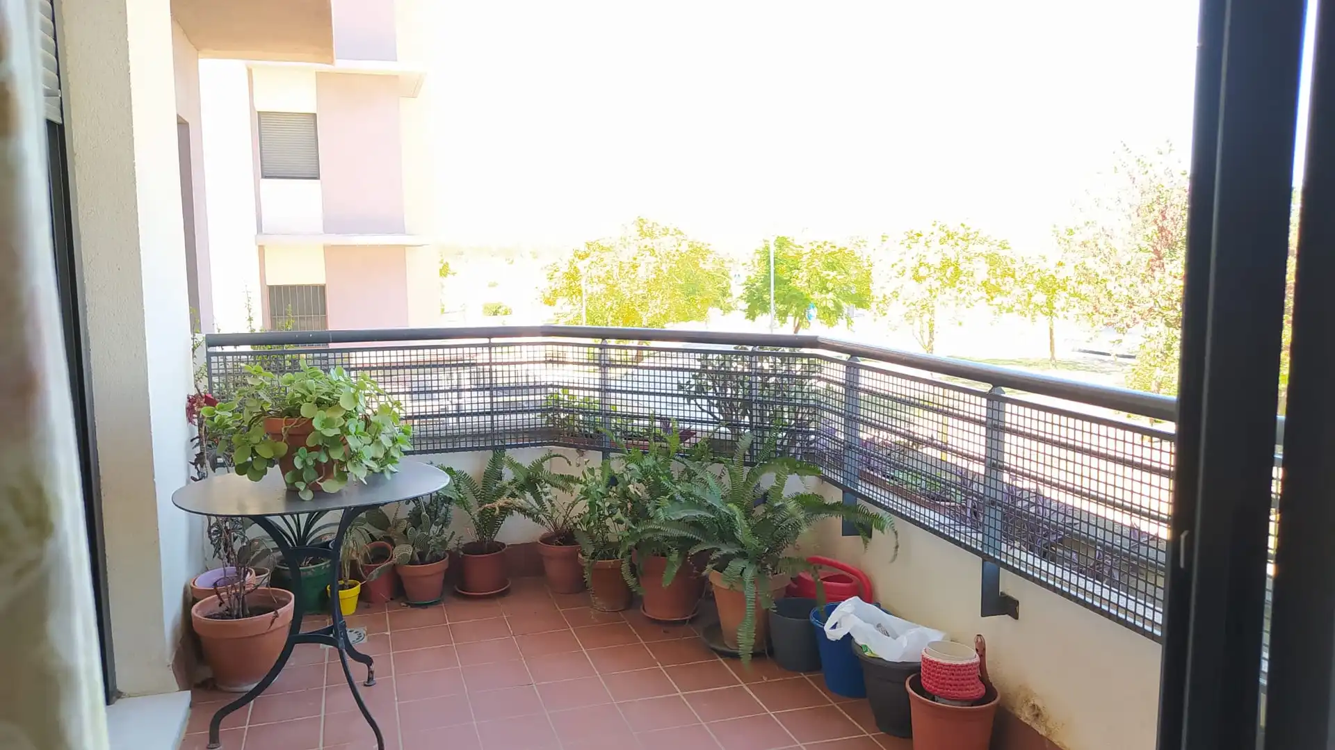 Flat with pool to rent in Casco Antiguo, imagen 8