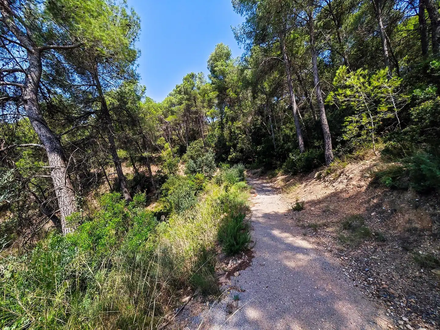 Exterior view of Houses for sale in Cabrera d'Anoia  with Heating, Private garden and Terrace