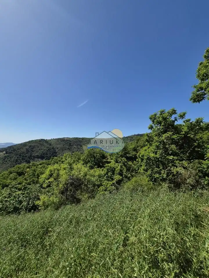 Terreny rústic en venda a poligono 10, imagen 18