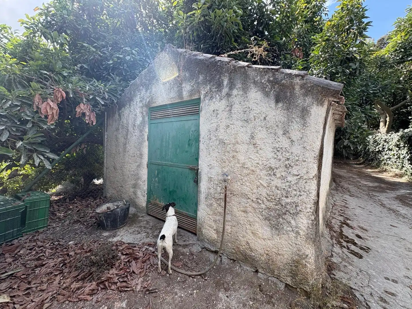 Casa rústica en venda a Coín, imagen 20