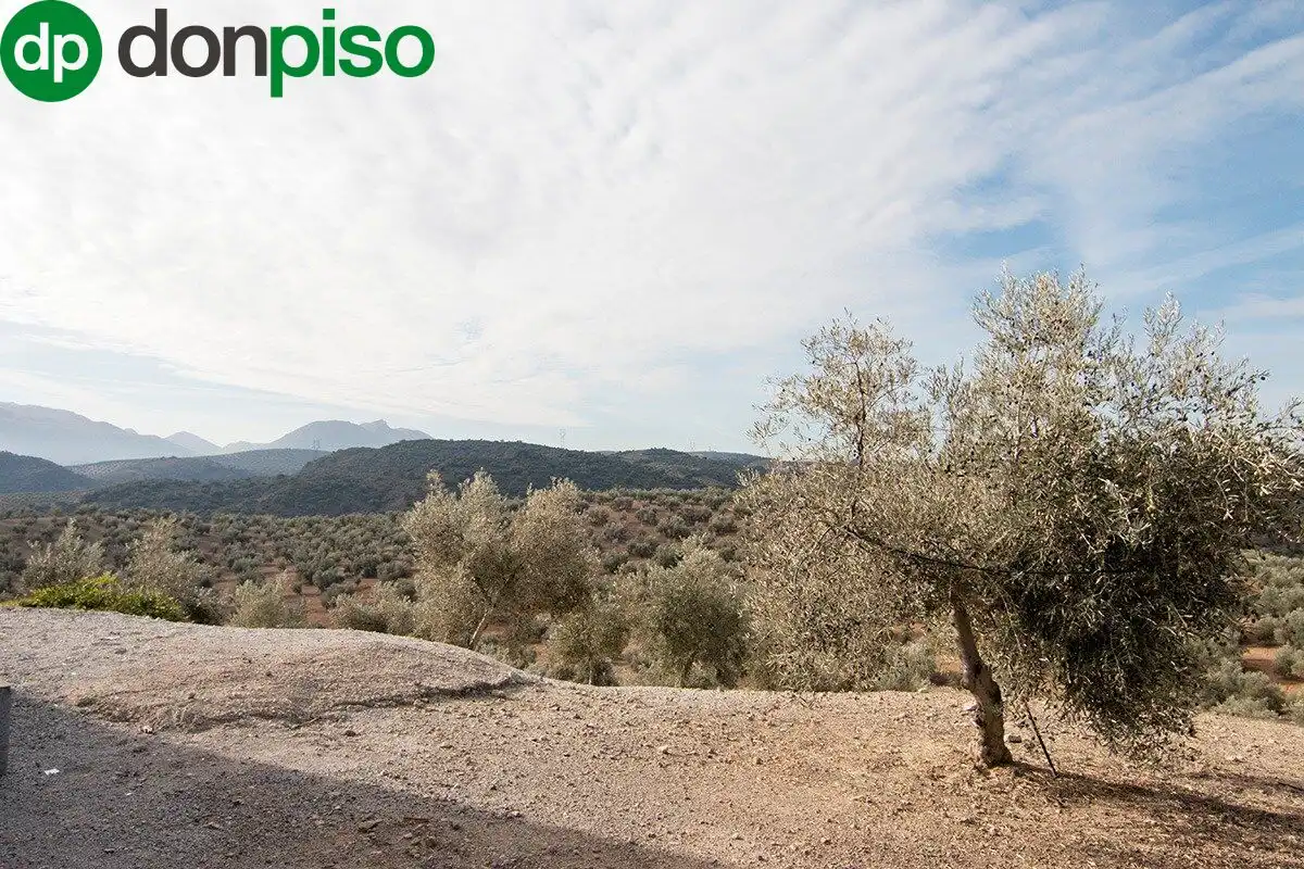 Casa rústica en venda a CORTIJO LA BARRAGANA, imagen 33