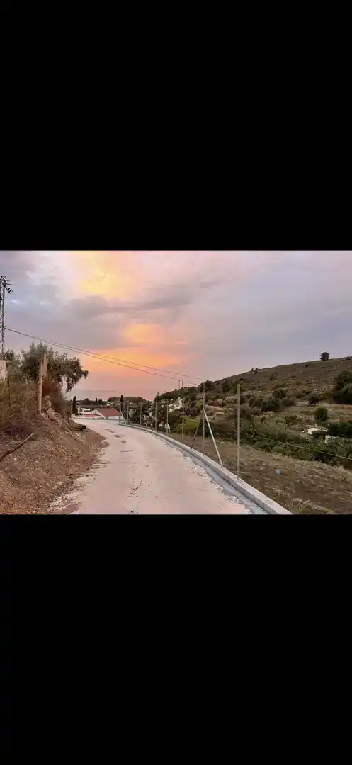 Vista exterior de Finca rústica en venta en Nerja