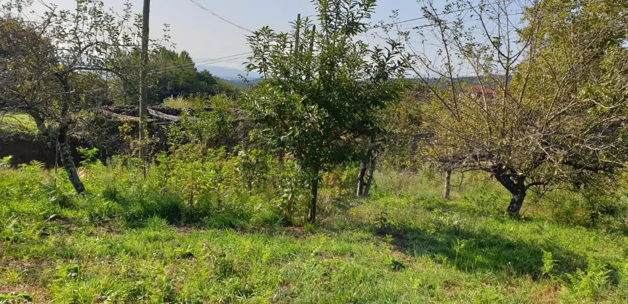 Haus mit Garten zum Verkauf in A Peroxa, imagen 6