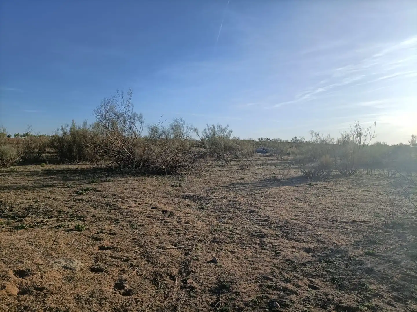 Rural land for sale in Almonacid de Toledo, imagen 2