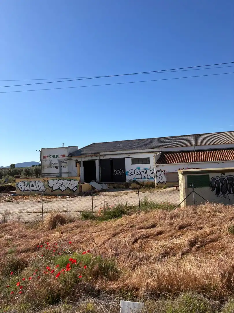 Terrenos y solares en venta en CAMINO VIEJO. GUADAMUR, imagen 8