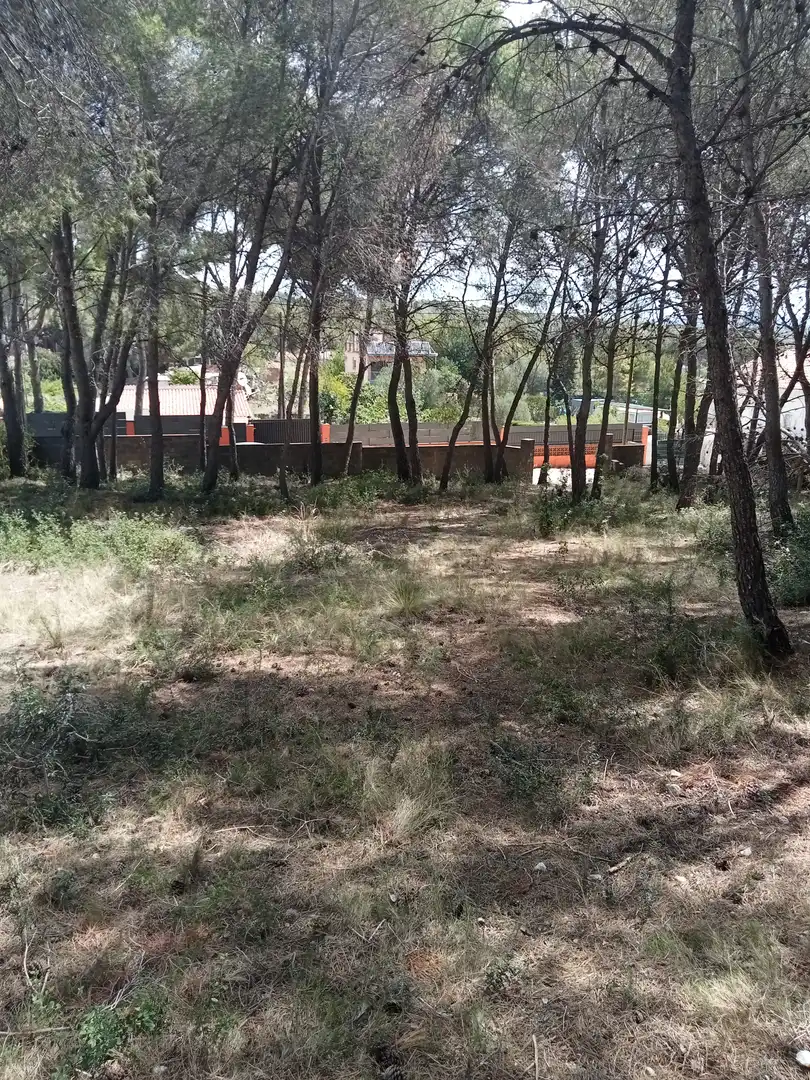 Rustikales Grundstück zum Verkauf in Avinguda de La Torre del Veguer 14, imagen 5