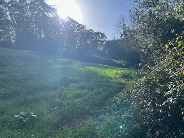 Land for sale in Camargo