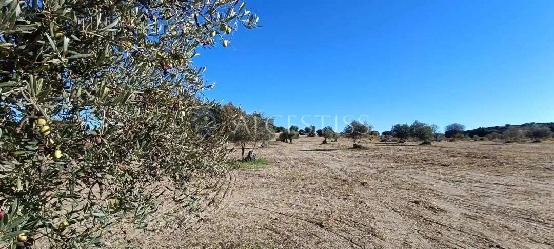 Terreno rústico en venta en Villamanta, imagen 10