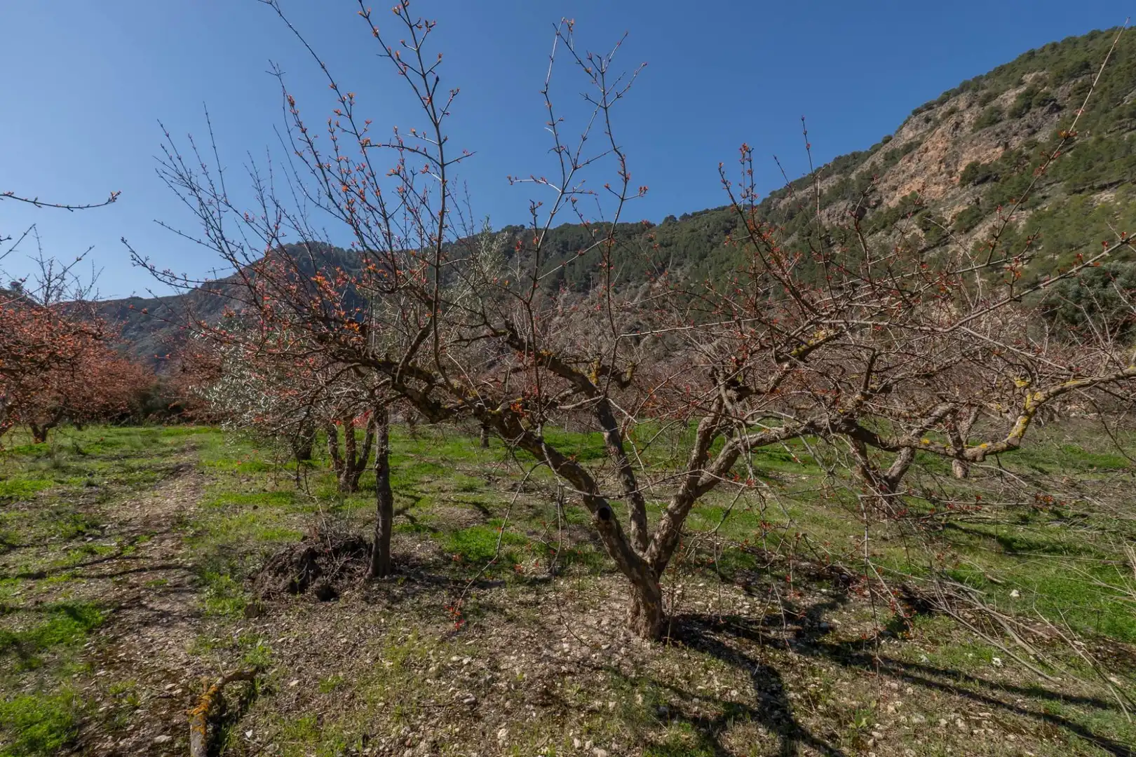 Terreni e lotti in vendita a Villamena, imagen 20