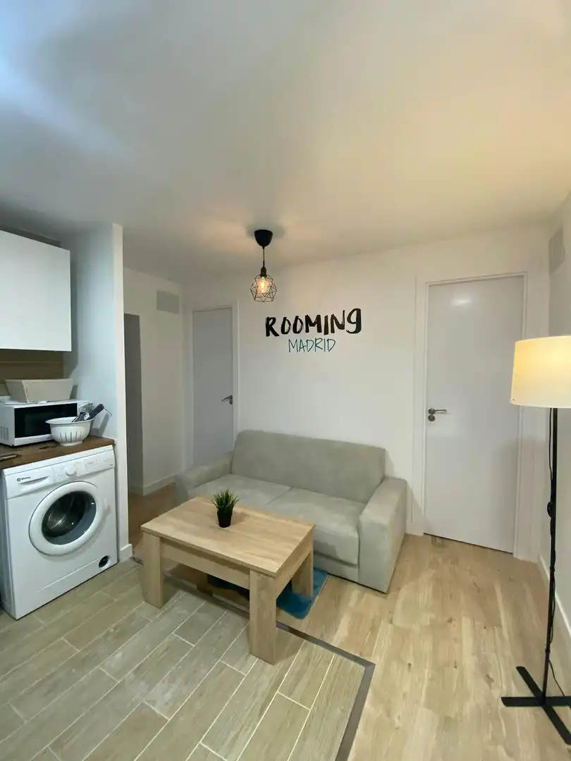 Living room of Flat for share in Madrid  with Heating, Furnished and Washing machine
