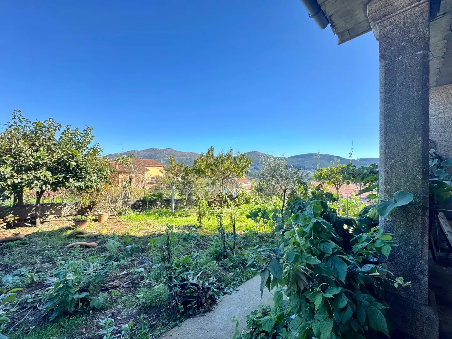 Jardín de Casa o chalet en venta en Mos con Jardín privado, Terraza y Trastero