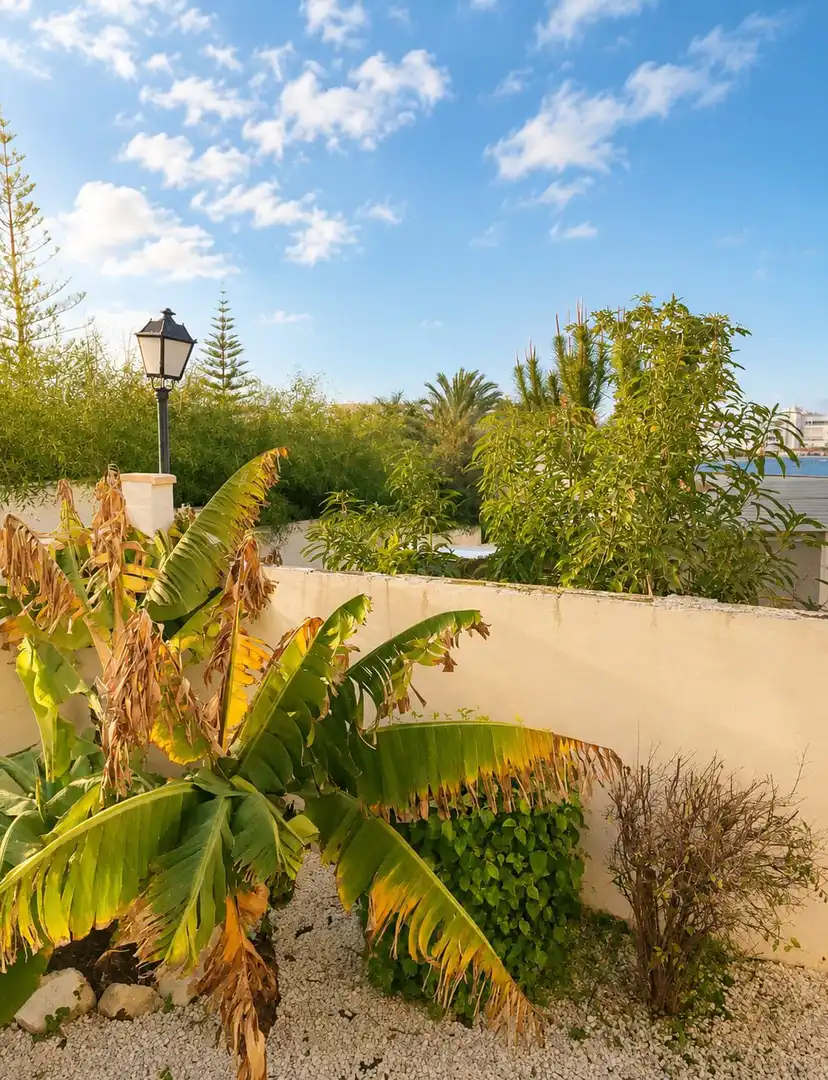 Außenansicht von Wohnungen zum Verkauf in Torremolinos mit Terrasse