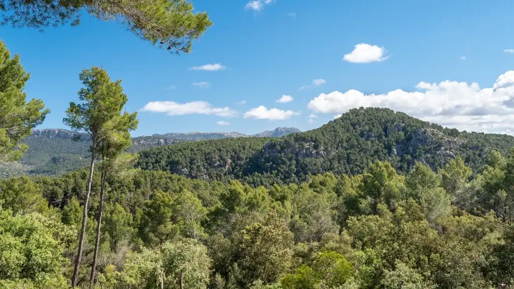 Detached house for sale in Esporles, imagen 21