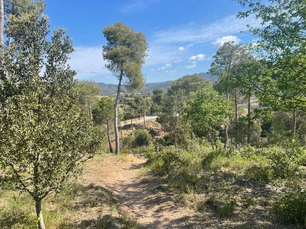 Terrenys i solars en venda a La Torre de Claramunt, imagen 5