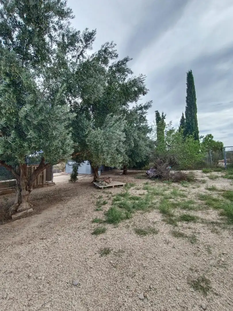 Finca rústica en venda en Molina de Segura amb Aire condicionat, Calefacció i Piscina
