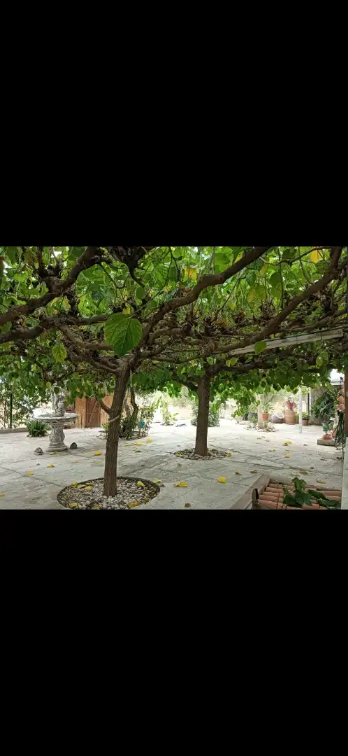 Terraza de Casa o chalet en venta en Tortosa con Calefacción, Jardín privado y Terraza