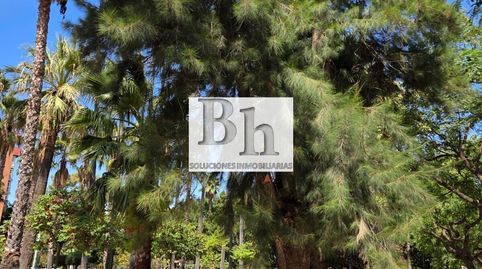 Foto 5 de Piso en venta en Los Guindos - Parque Mediterráneo - Santa Paula, Málaga Capital