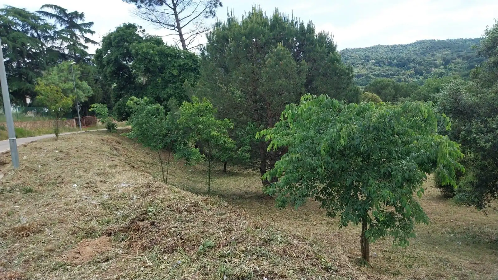 Wohnbaugrundstück zum Verkauf in BOSCOS MONTNEGRE, imagen 4