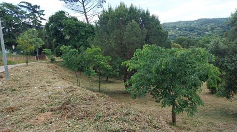 Parcela soleada en venta, imatge 4