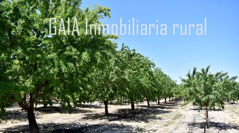 Imatge 3 de l'anunci