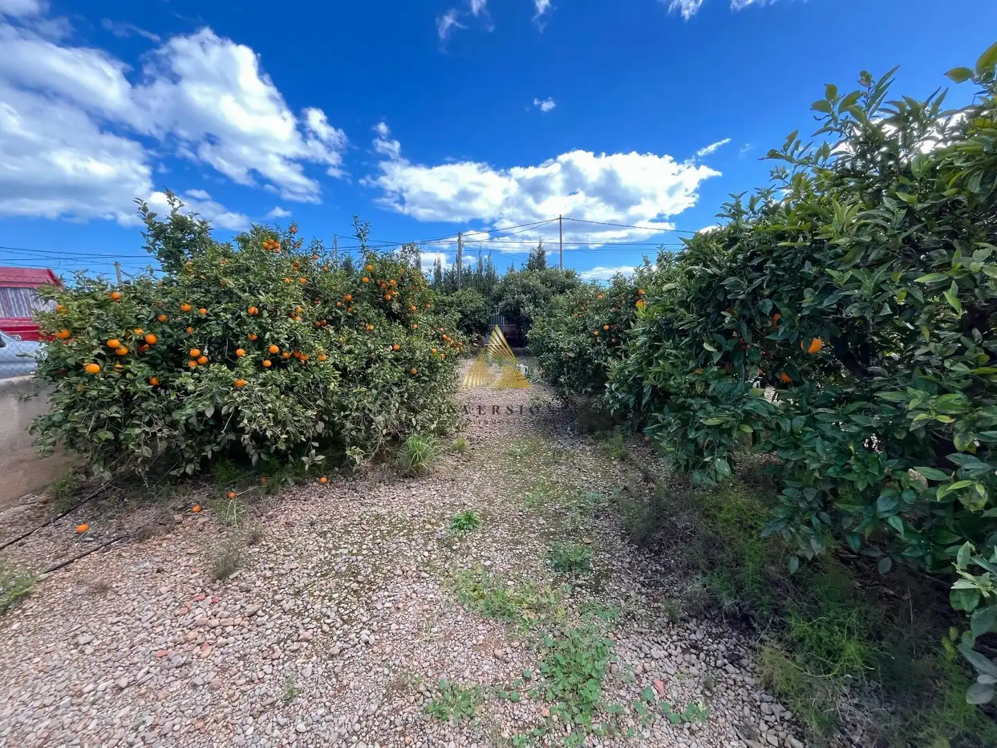 Terrenos y solares en venta en Pueblo, imagen 12