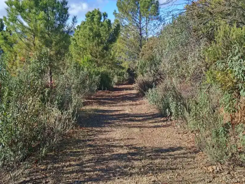 Finca rústica en venda en Jubrique amb Piscina