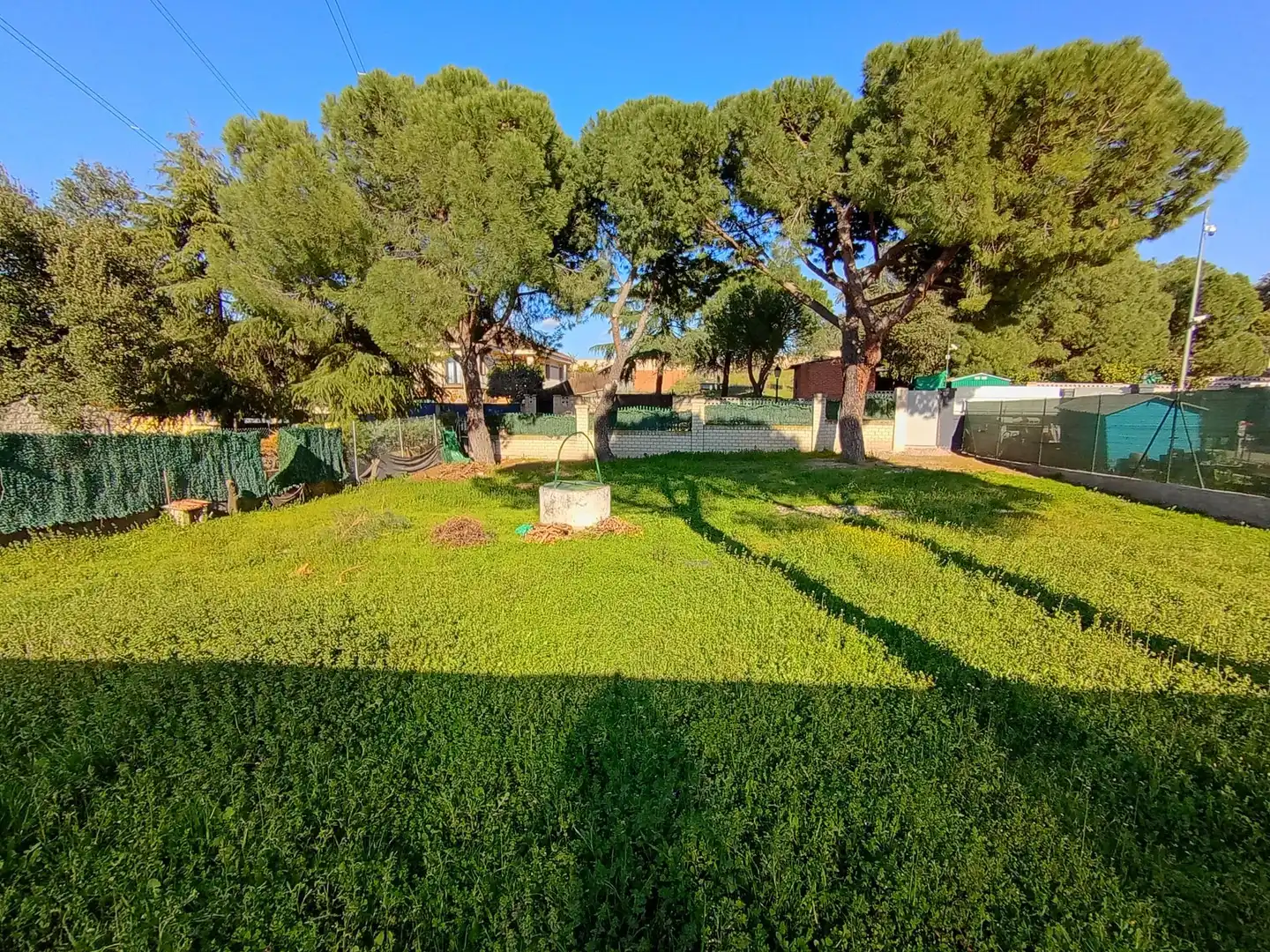 Jardí de Residencial en venda en Sevilla la Nueva