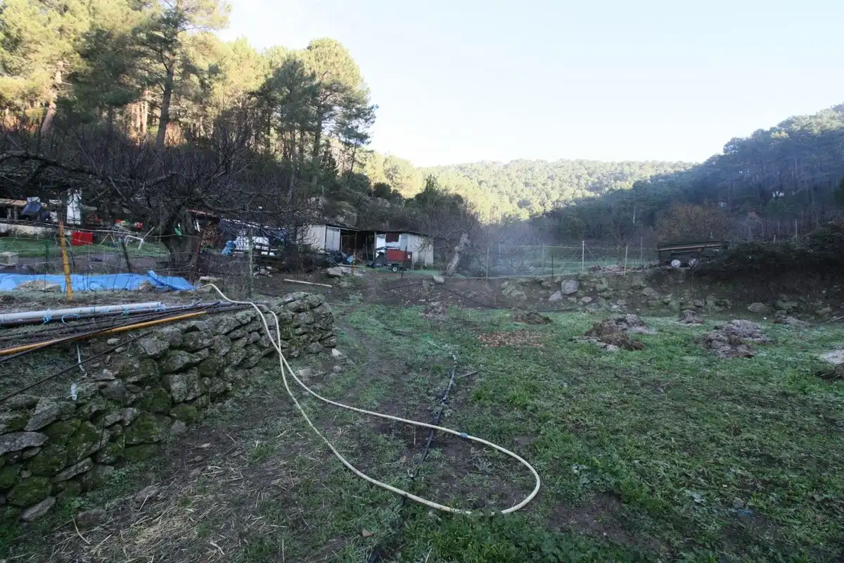 Terreni e lotti in vendita a Arenas de San Pedro, imagen 19