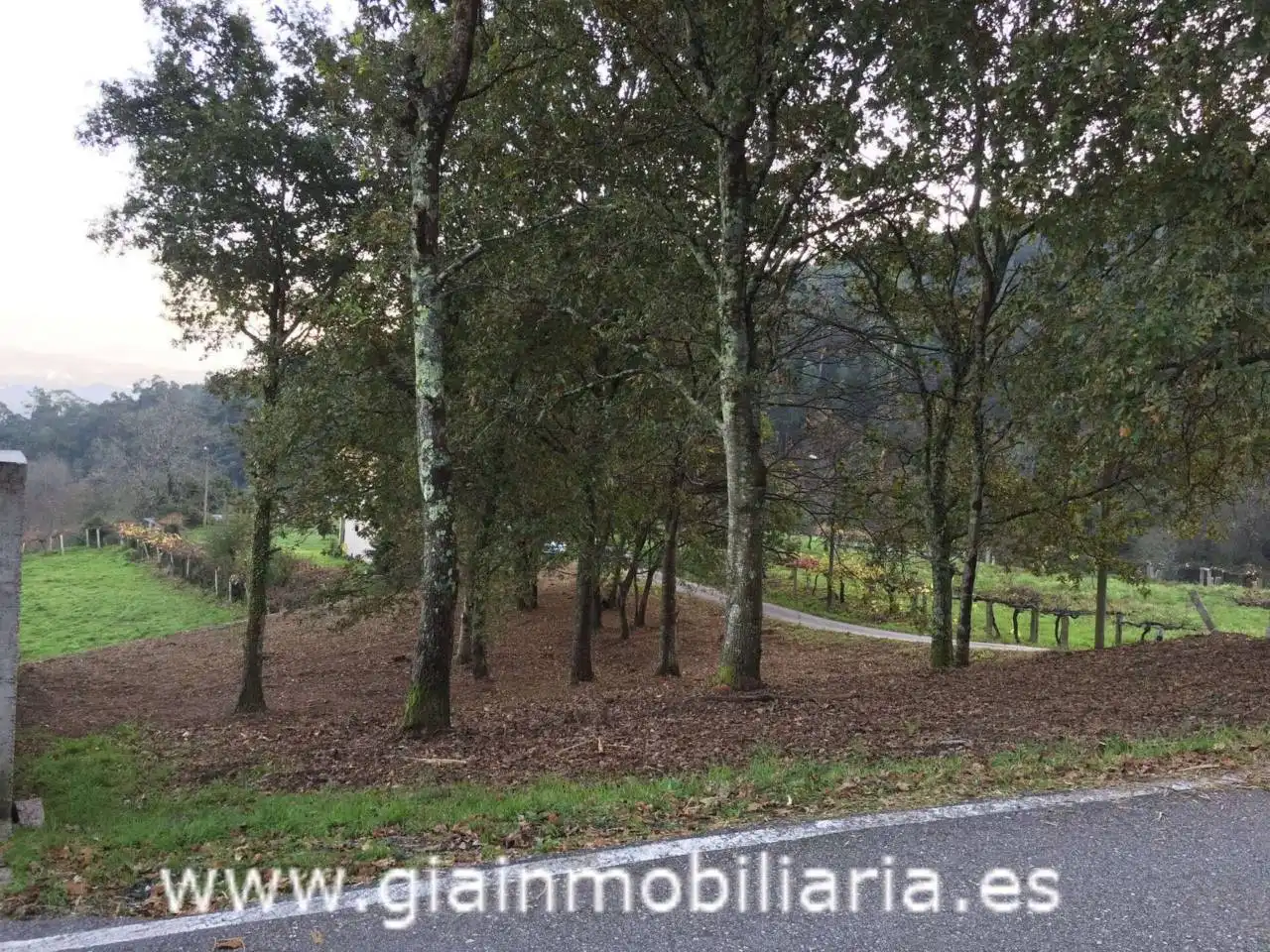 Rustikales Grundstück zum Verkauf in Calle Lugar A Belenda, imagen 12