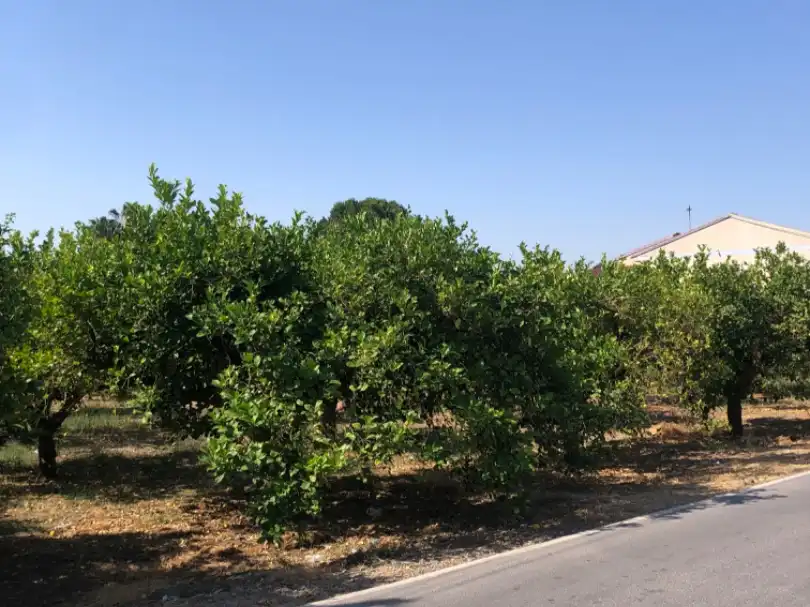 Residencial en venda en Murcia