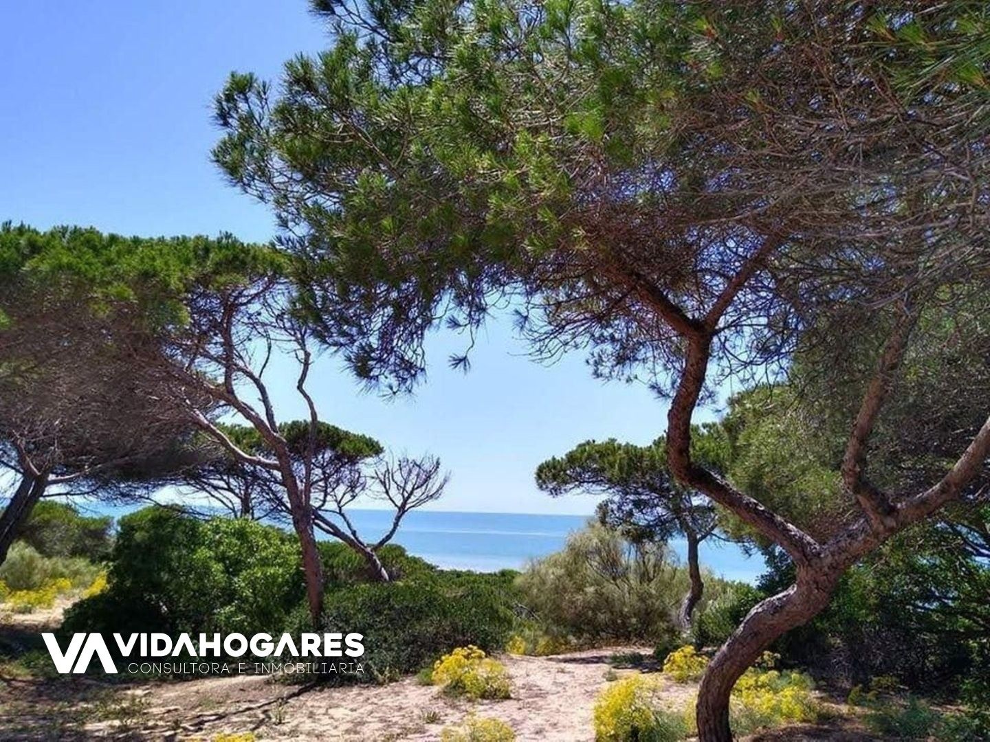 Vista exterior de Garatge en venda en Rota