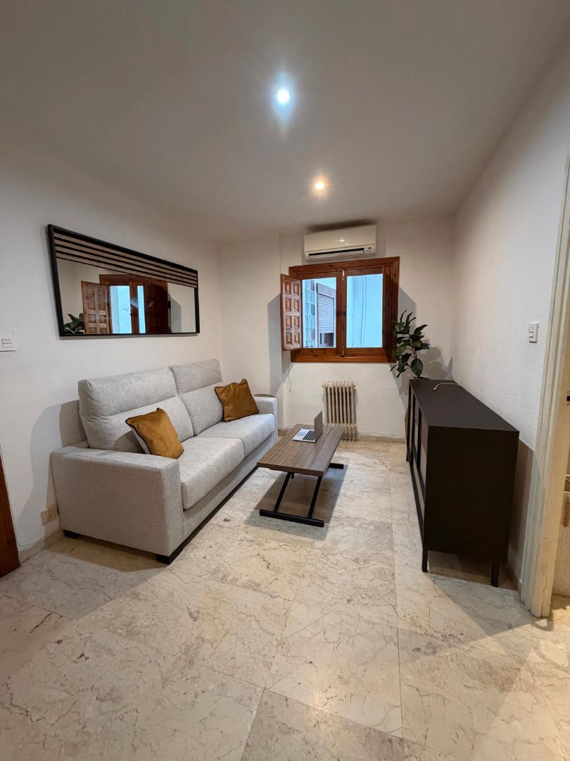 Living room of Flat to rent in  Granada Capital  with Air Conditioner, Heating and Furnished