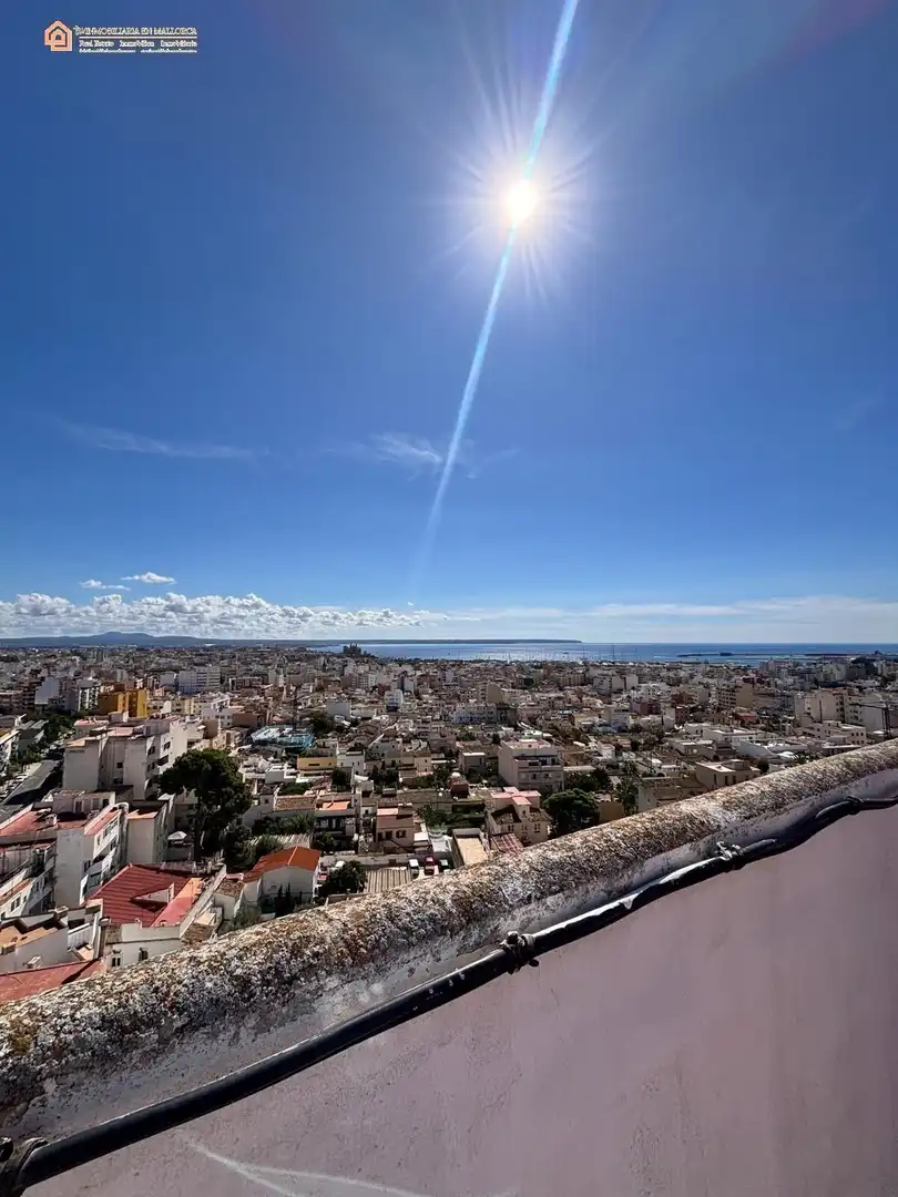 Appartement avec terrasse à vendre à DRAGONERA, imagen 10