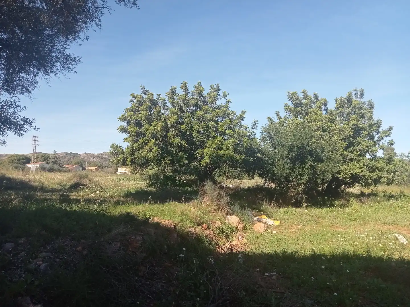 Terreno rustico in vendita a Oeste, imagen 4