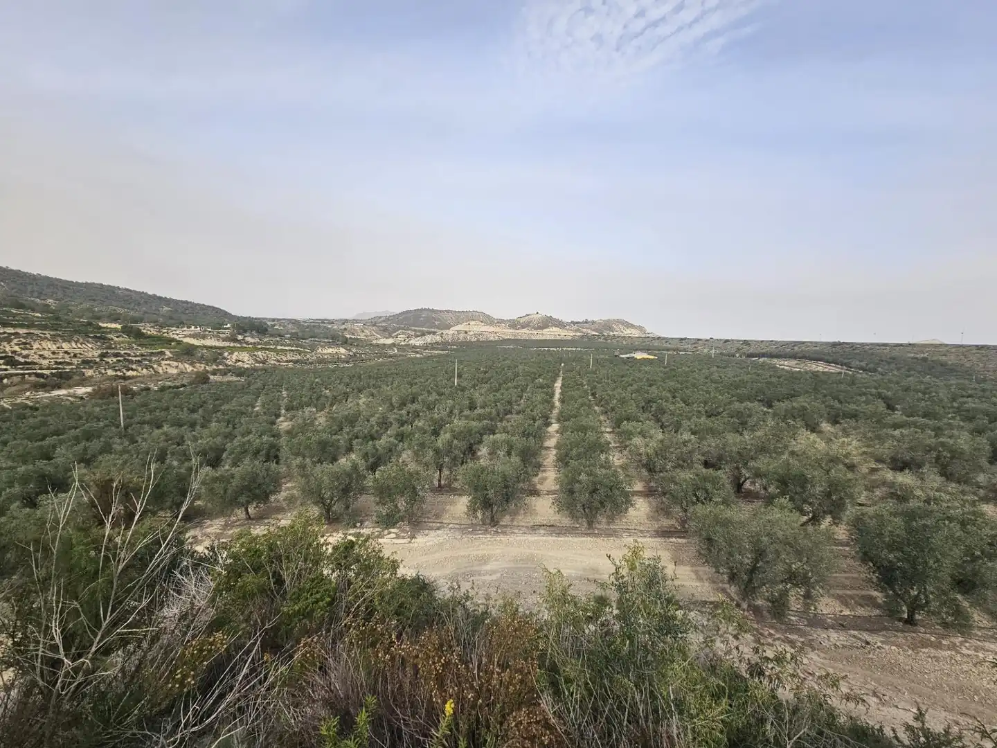 Rural land for sale in Desamparados - Hurchillo - Torremendo, imagen 7