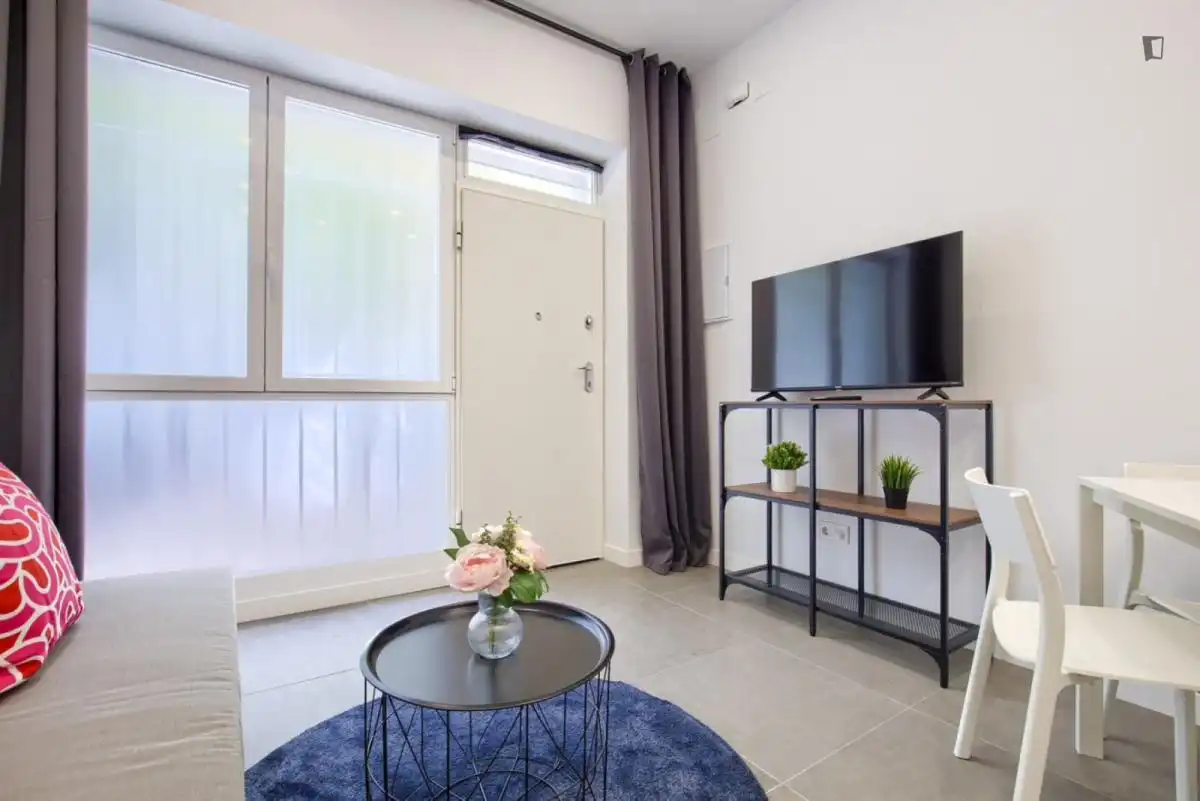 Sala d'estar de Apartament de lloguer en  Madrid Capital amb Aire condicionat, Moblat i Forn