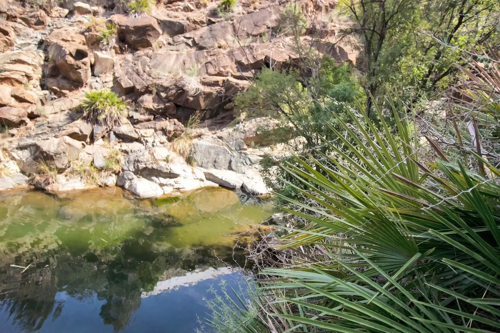 Casa rustica con piscina in vendita a Ojén pueblo, imagen 73