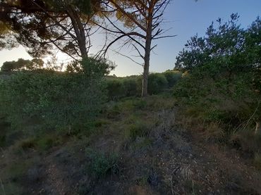Terrenos y solares en venta en Castellbisbal