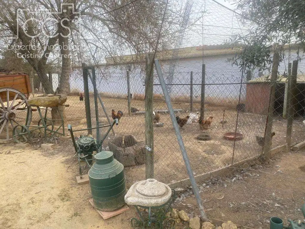 Vista exterior de Finca rústica en venta en Alcalá de Guadaira con Piscina y Amueblado