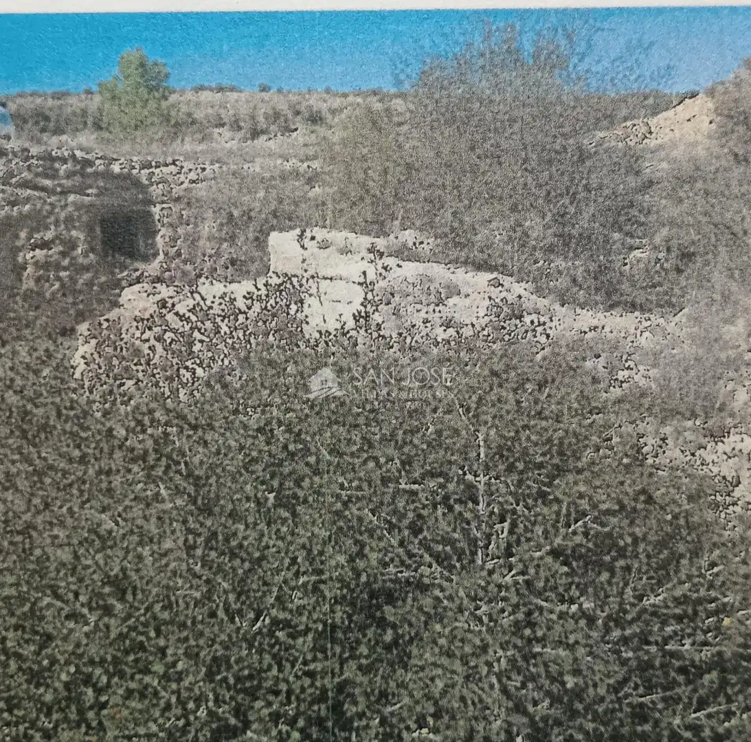 Rural land for sale in Monóvar  / Monòver, imagen 15