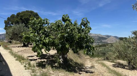 Foto 2 de Finca rústica en venta en Cocentaina, Alicante